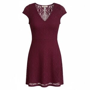 EXPRESS Burgundy Lace Dress Fit & Flare